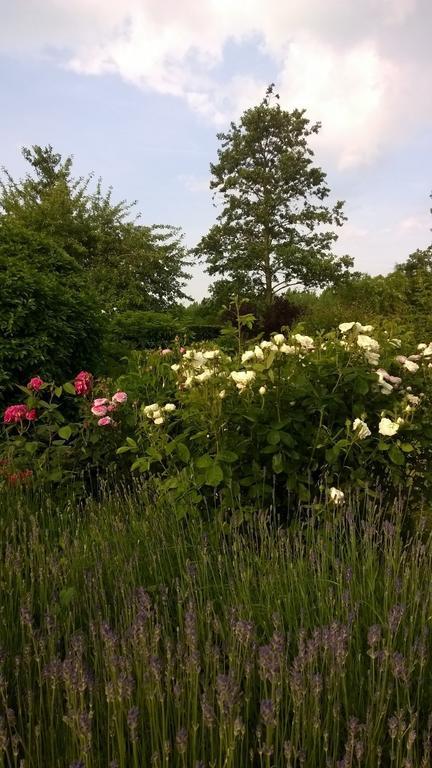 B&B Hier En Nu Heusden Exteriör bild