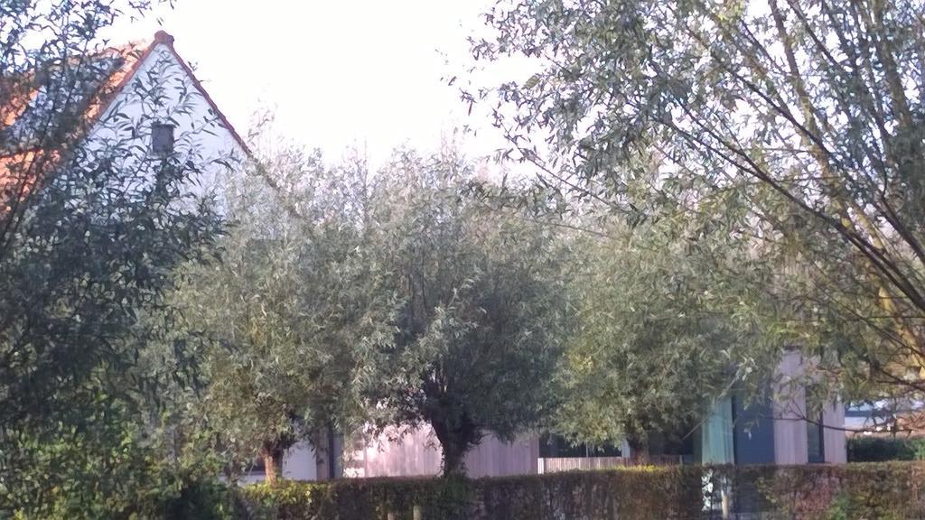 B&B Hier En Nu Heusden Exteriör bild