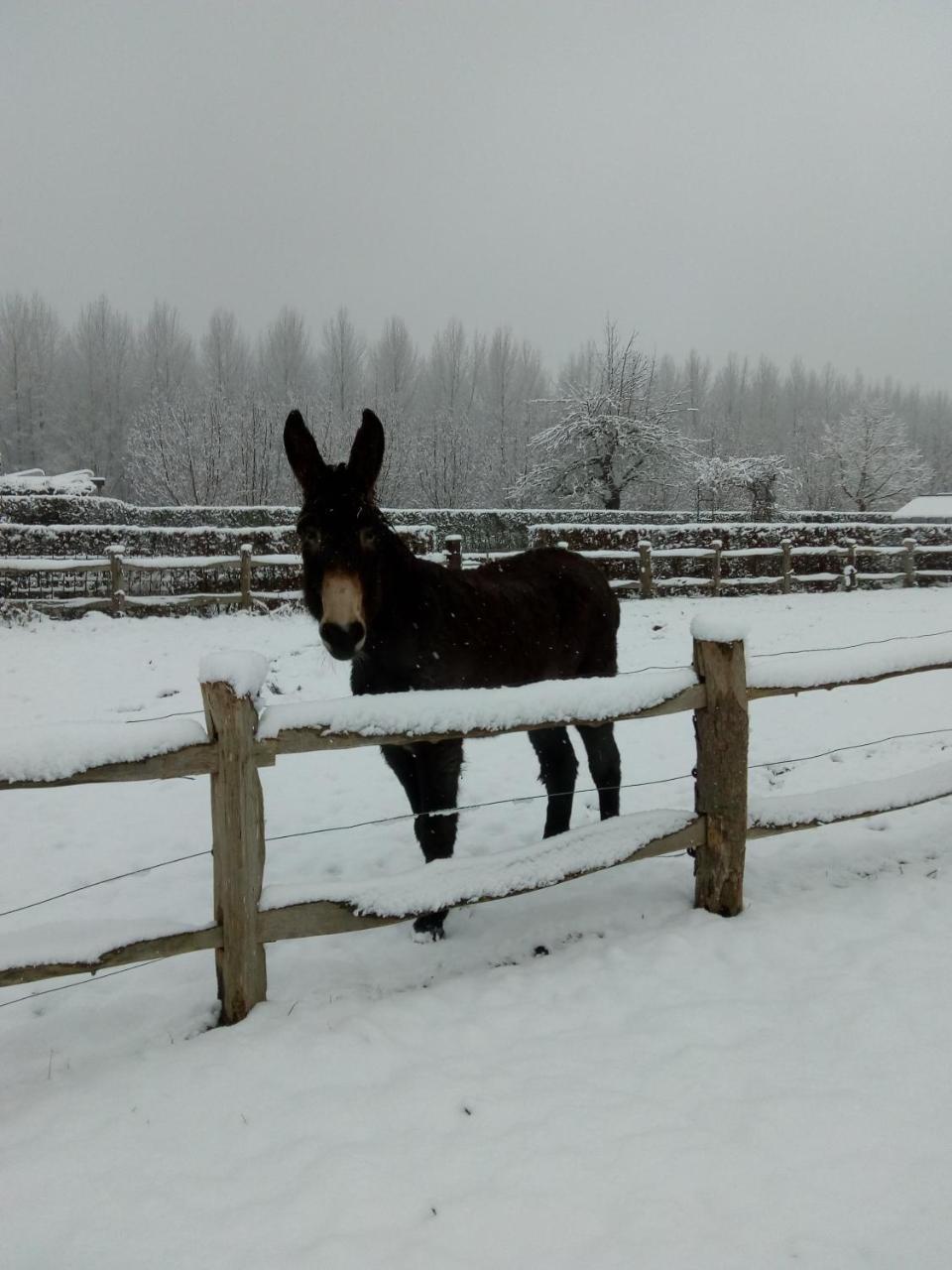 B&B Hier En Nu Heusden Exteriör bild
